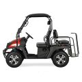 Jeep Style 200cc EFI Golfwagen mit EPA